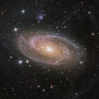 M81