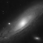M31