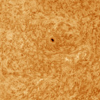 Ha Sonne mit großer Protuberanz vom 15-17.09.2023