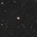 ARP 185 bzw. NGC 6217, Galaxie im Sternbild Kleiner Bär