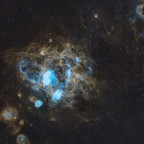NGC 1760, 1761, 1763, 1769, 1773, 1776 and friends im Sternbild Schwertfisch in der Großen Magellanschen Wolke (SHO-Aufnahme)