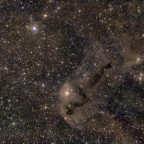 Dunkelnebel LDN 1251 "anglerfish nebula" oder "rotten fish" im Cepheus: 6" f/4 Newton bei f/3; Canon 77da; 430x30sec; uv_ir Filter; bortle 6-7 + beleuchtete Nachbarfenster; 24.09.2023;