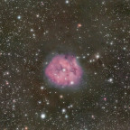 IC5146 Cocconnebel