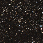 IC1369 Offener Sternhaufen mit der Vaonis Stellina