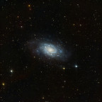 NGC2403 im Sternbild Giraffe (Begleiter M81/M82)