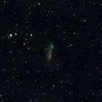 IC2574 Coddington's Galaxie mit dem Seestar S50