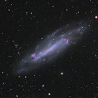 Caldwell 3/NGC4236