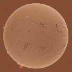 Sonne in H-alpha am 24.06.2023 (invertiert) mit Flare in AR 3337