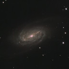 NGC2903 Kurzbelichtet