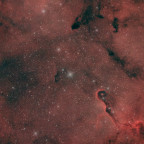 Elefantenrüssel (IC1396) - ca. 3 Std. - Schmalband - OSC ToupTek 2600 Color - Skywatcher 8" Quattro f/4