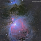 Stars and Dust in Orion Nebula