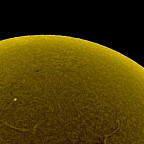 Sonne H-Alpha #1 - invertiert