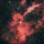 Sh2-157 (Hummerscherennebel) - 3 Stunden - Schmalband+RGB - OSC ToupTek 2600 Color - Skywatcher 8" Quattro f/4