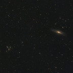 NGC7331