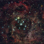 NGC 2244 "Rosettennebel"