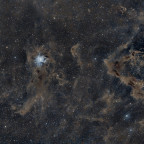 Dunkler Skorpion Testbild für Astroviewer
