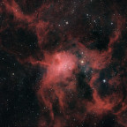 Spinnennebel (IC417) - 9 Stunden - RGB+Schmalband - OSC ToupTek 2600 Color - Skywatcher 8" Quattro f/4
