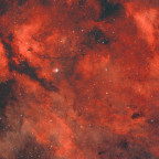 IC1318