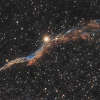 NGC 696 Sturmvogel