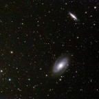 M81