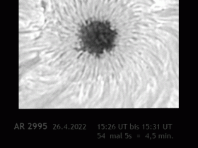 AR2995 Gif -- was sind das für Lichterscheinungen in der Umbra?