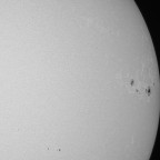 Close-up der Sonne im Weißlicht mit 2-fach-Barlow (9.2.2025)