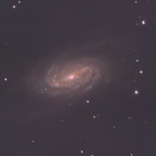 NGC 2903
