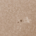 Sonne vom 30.04.2026 in Halpha