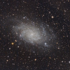 M33 3h bei f/3 mit dem 6" f/4 Newton und der Canon 77da: große Sterne