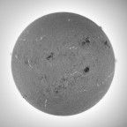 Sonne 08. Mai 2026 - H-Alpha - invertiert