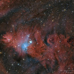 NGC 2264 Weihnachtsbaum-Cluster