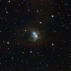 NGC1788 Fledermausnebel mit dem Seestar S50