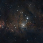 NGC2264 mit Christmas-Tree-Cluster und Konusnebel mit dem Seestar S50