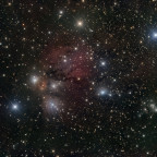 NGC2170 im Einhorn