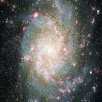 M33 (Dreiecksgalaxie) - 9,5 Stunden - RGB+Schmalband - OSC ToupTek 2600 Color - Skywatcher 8" Quattro f/4