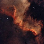 NGC 7000 "Feuervogel"