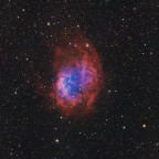 Sh2-261 Lowers Nebula