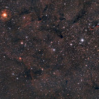IC 1396 Gebiet im Cepheus; 140x32 sec mit Breitband Optolong l-pro Filter, 6" f/3 Newton; Canon 77da; 12.06.2023;  musste um 02.50 Uhr aufhören, der Morgen begann, RAW wurde blau;