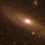 M31  Andromeda  bear 1
