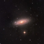 NGC2841-Tigeraugen-Galaxie