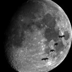Mondvögel am 27.02.2026