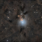 NGC1333 (Embryonebel) - 8 Stunden - RGB - OSC ToupTek 2600 Color - Skywatcher 8" Quattro f/4