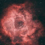 NGC 2244 / Rosettennebel