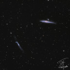 Walgalaxie NGC4631
