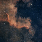 NGC7000 mit der Vespera Pro