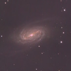 NGC 2903 kurzbelichtet -Update