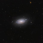 M63-CDK12-web