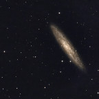 Einen Silberdollar war mir die Sache wert... NGC 253 im Sternbild Sculptur
