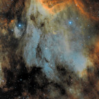 Pelican Nebula IC 5070