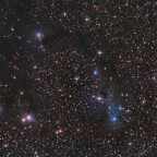 Reflexionsnebel: rechts IC 2169 mit IC 447, oben links IC 446, unten links NGC 2245 +  NGC 2247: 6" Newton bei f/3, Canon 77da; Optolong l-pro; 195x30 sec; Bildausschnitt; N = oben links; bortle 7-8; 09.01.2024;